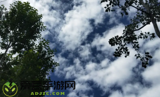 dizz胶片相机app