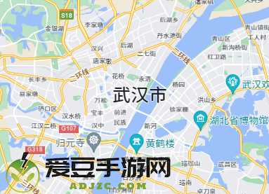 google地图app