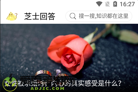 芝士回答app官方2023