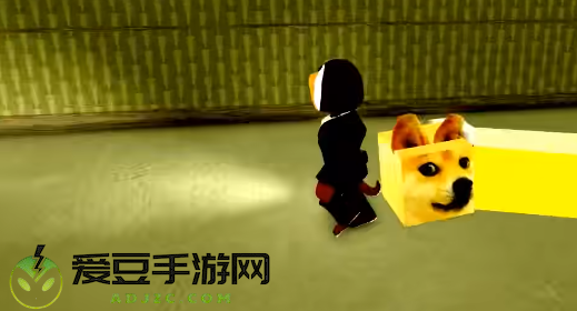 后室狂奔