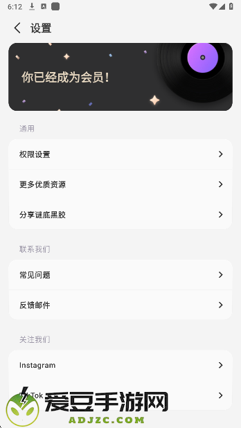 谜底黑胶