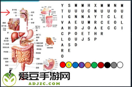 犯罪大师密室逃脱答案完整版解析