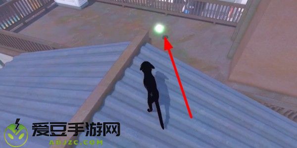 小猫咪大城市包子帽怎么收集