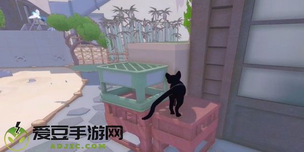 小猫咪大城市包子帽怎么收集