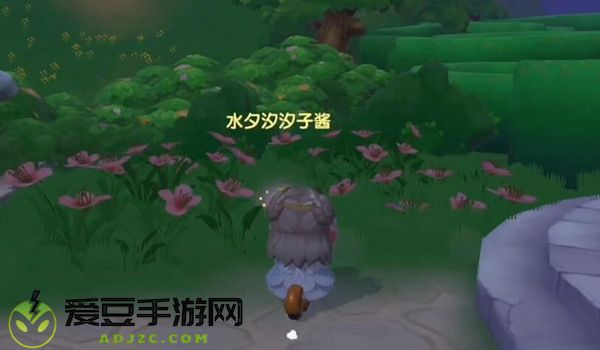 摩尔庄园手游满天星花在哪里