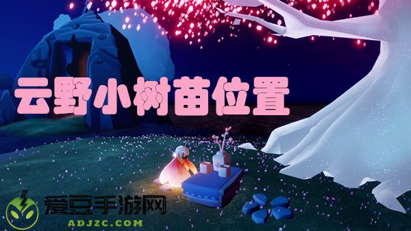 光遇云野小树苗位置在哪