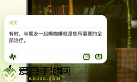 单词翻译帮app